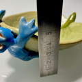 Froschschale